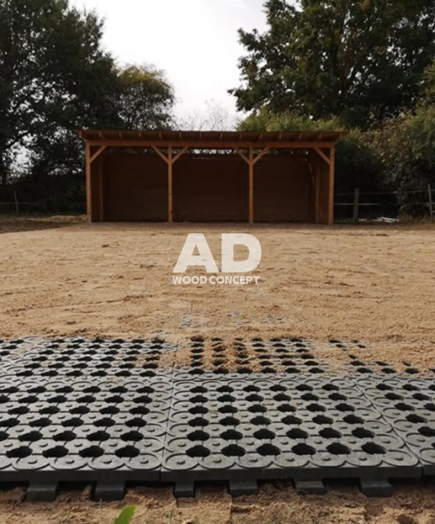 dalle de stabilisation (1).webp