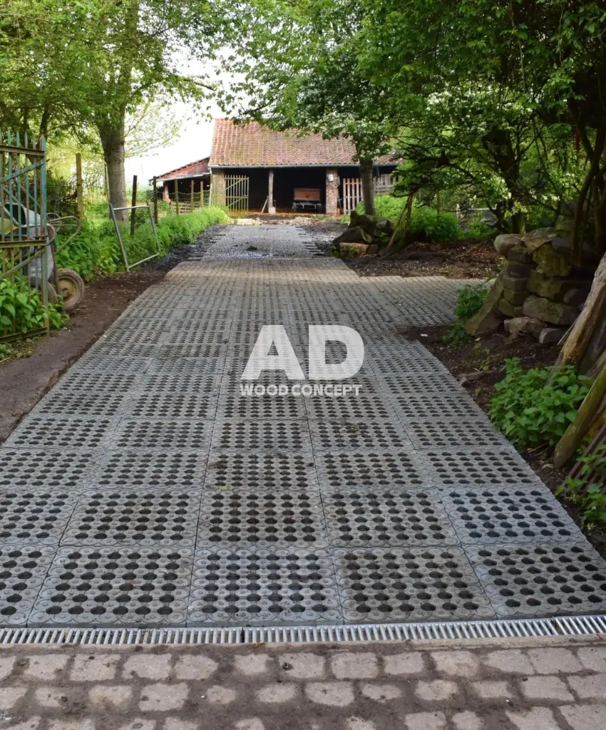 dalle de drainage.webp