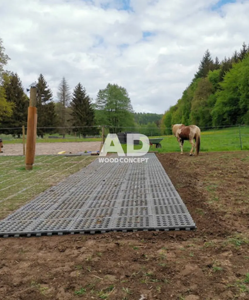 dalle ecurie sols.webp