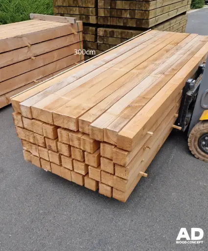 Poutre en bois douglas 300x10x10